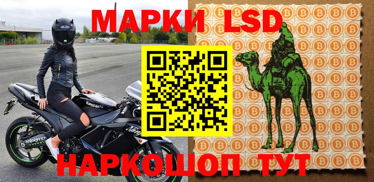 Марки N-bome 1500мкг  Вход с VPN  где можно купить наркотик  Богданович 