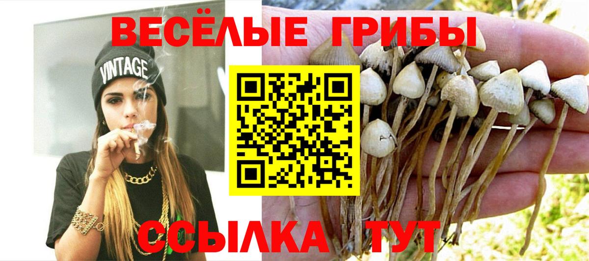 Псилоцибиновые грибы мухоморы Богданович