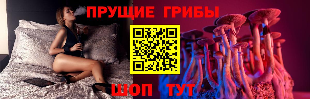Галлюциногенные грибы Psilocybine cubensis  Вход с VPN  Богданович 